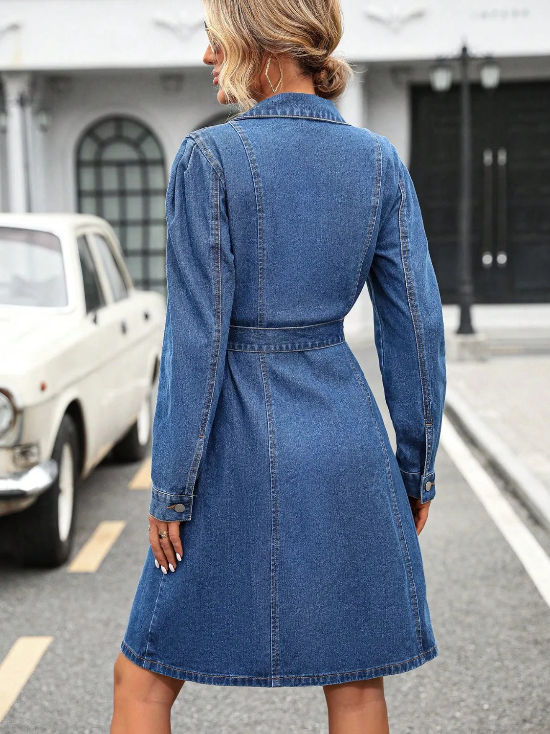 Button Down Long Sleeve Denim Dress