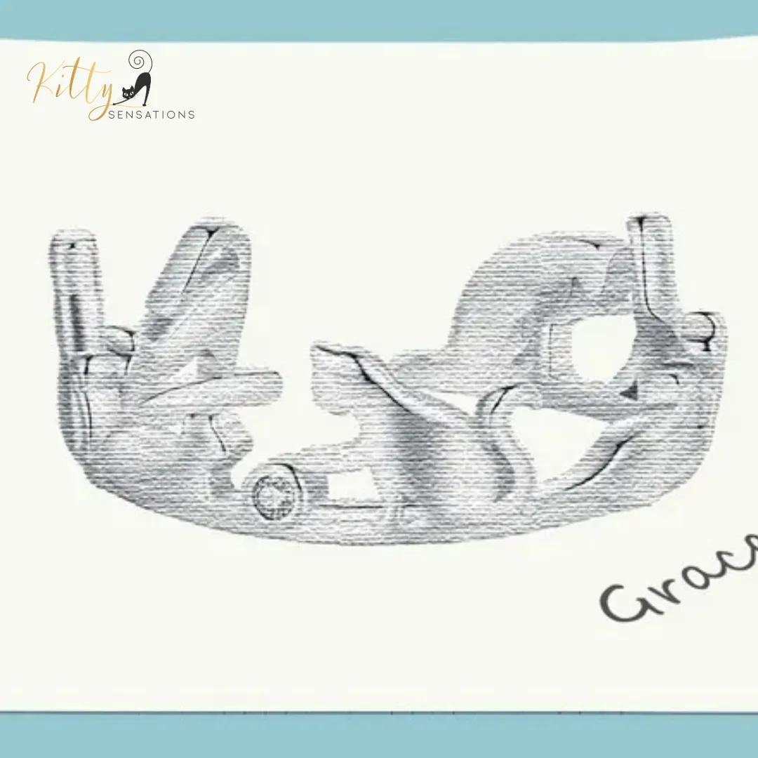 Cat Ring - Seven Healthy, Playful Cats in Solid 925 Sterling Silver - Platinum Plated, Playing with Cubic Zirconia (CZ) Balls (Adjustable Size)