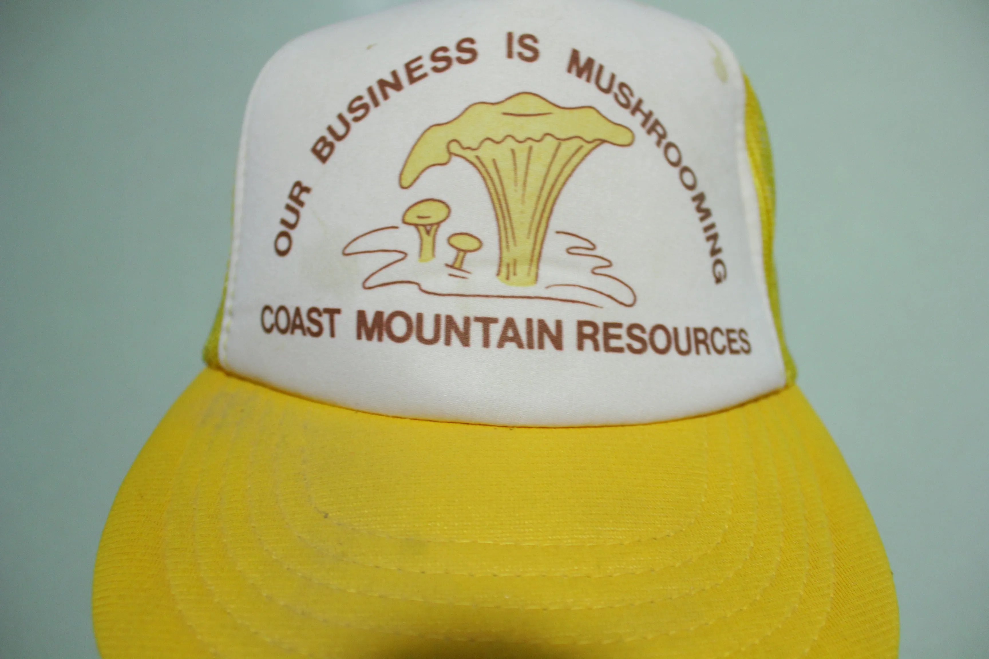 Magic Mushrooms Coast Mt. Resources Vintage 80's Adjustable Back Snapback Hat