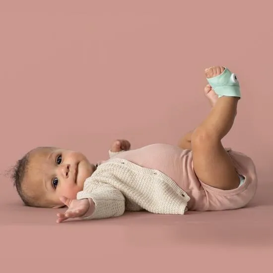 Owlet Smart Sock 3 Bundle - Wild Child