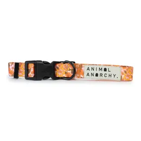 Small Dog Collar - Vintage Floral