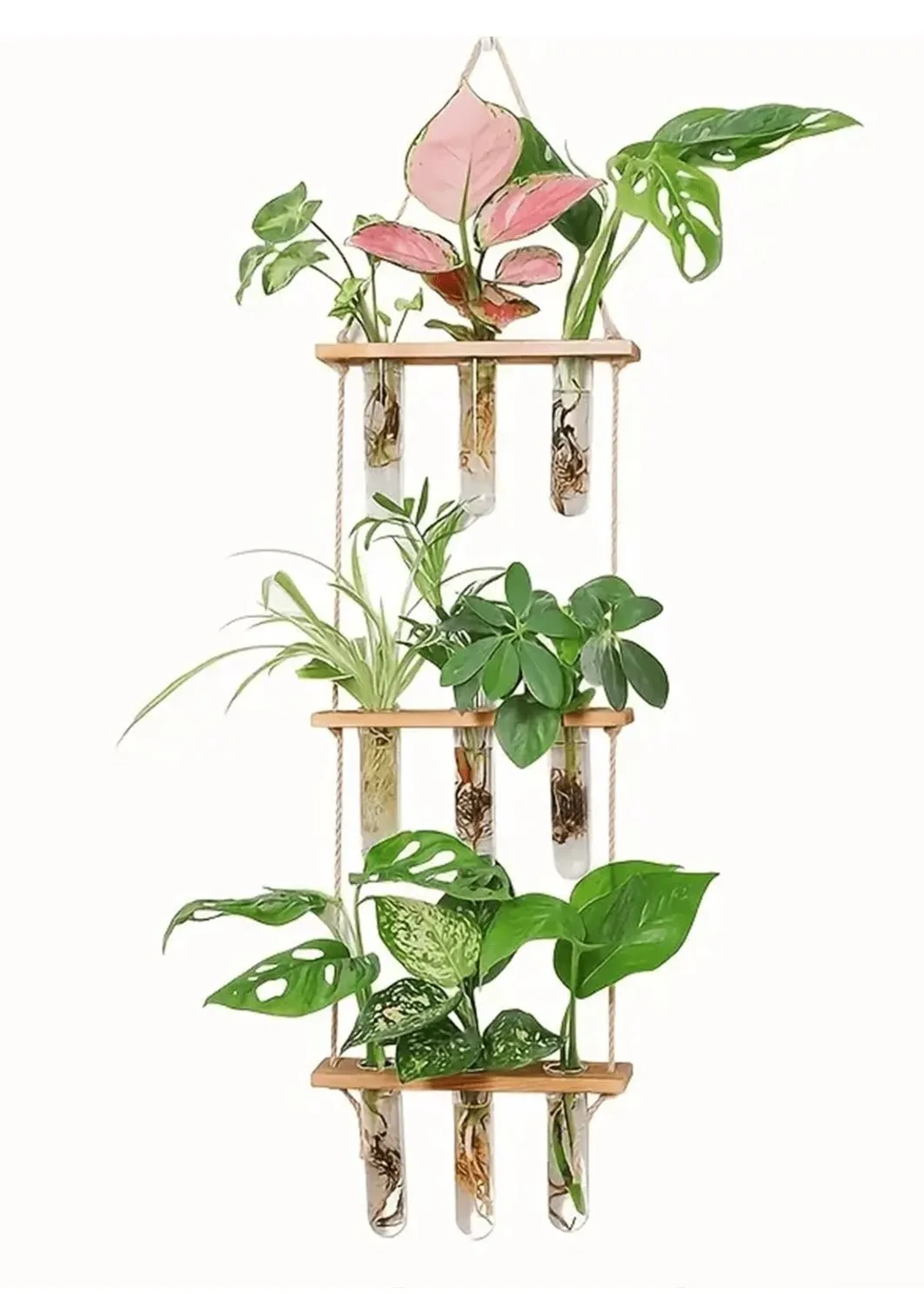 Wall Hanging Flower/Glass/Planter/Propagator/Terrarium