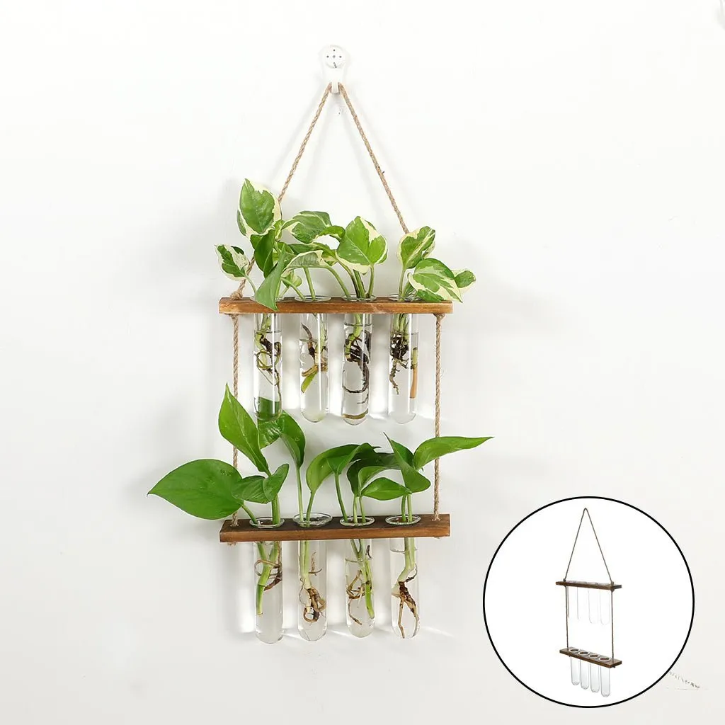 Wall Hanging Flower/Glass/Planter/Propagator/Terrarium